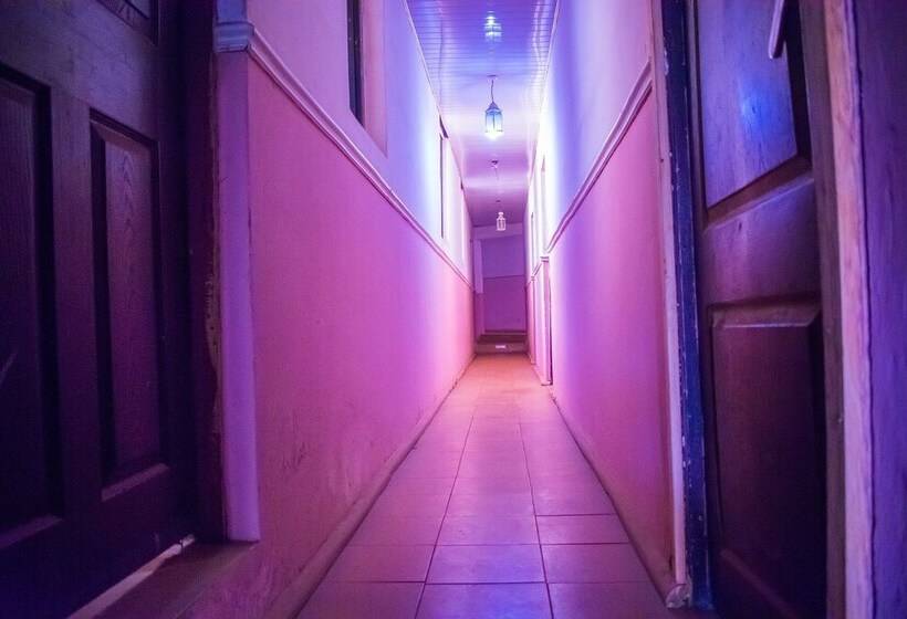 Отель Organico House