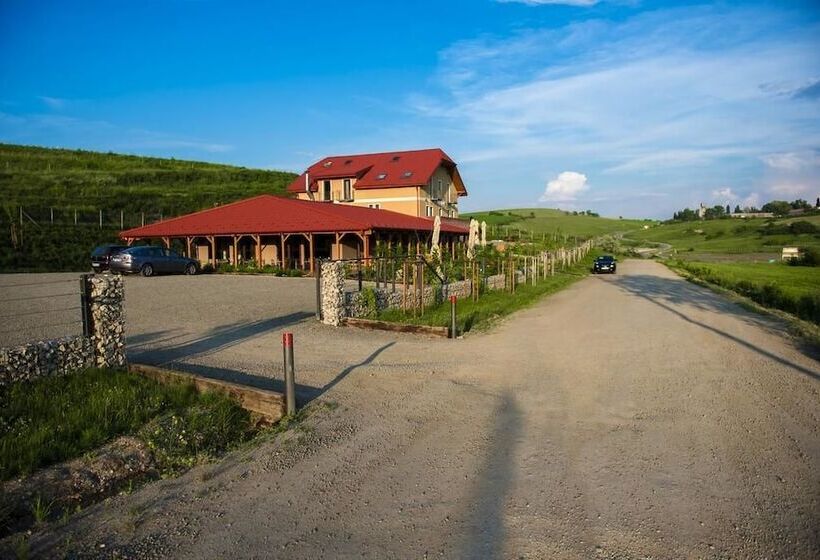 Отель Pensiunea Sarea N Bucate