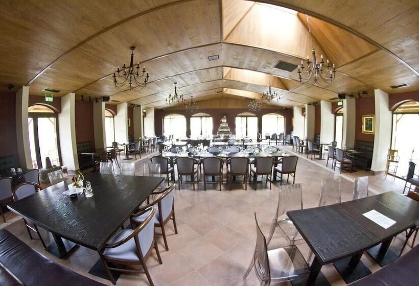 Отель Pensiunea Sarea N Bucate