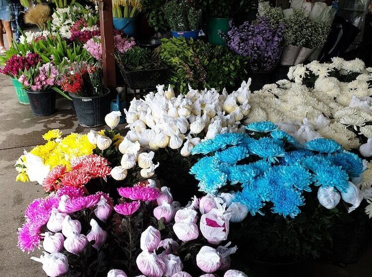 酒店 Zzz Crest Chiang Mai