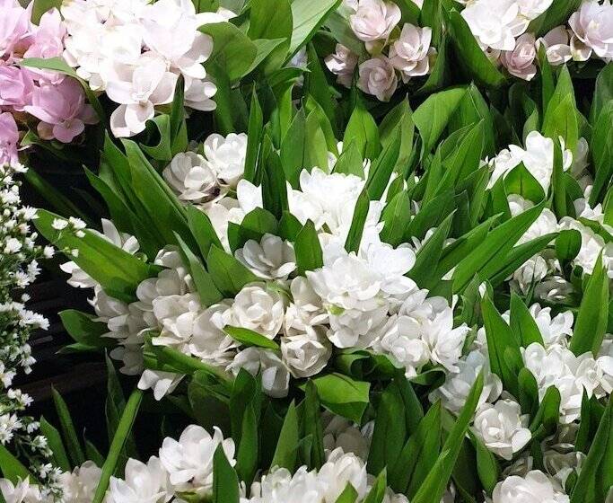 酒店 Zzz Crest Chiang Mai