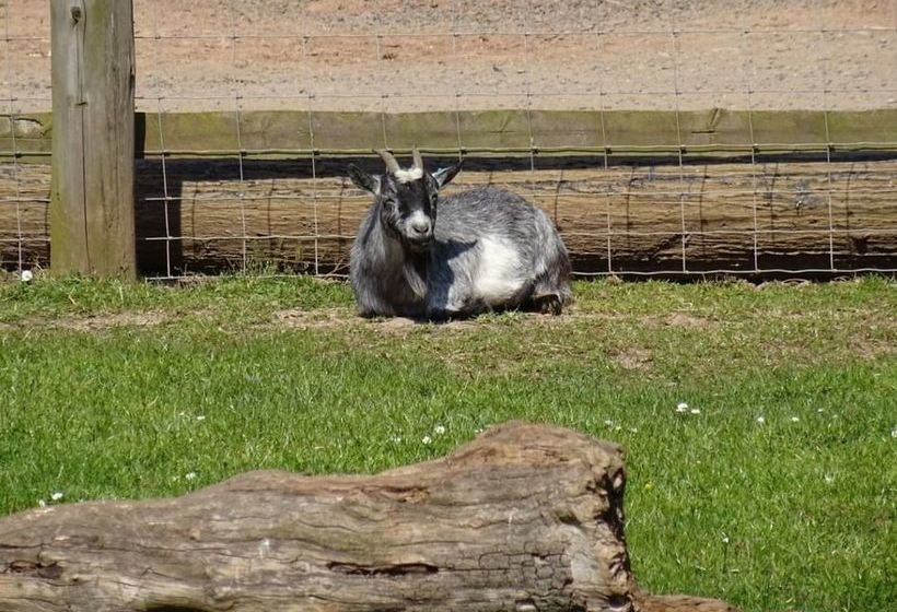 住宿加早餐  Moor Court Farm
