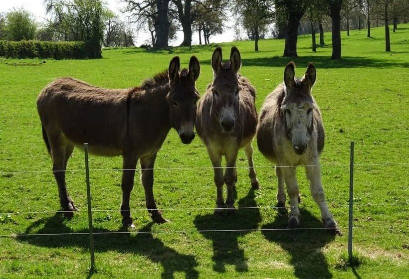 ベッドアンドブレックファースト Moor Court Farm