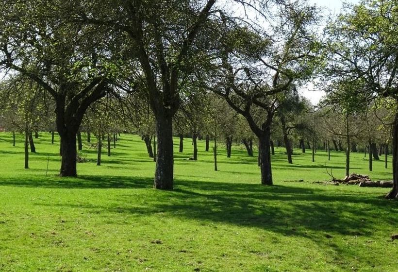 住宿加早餐  Moor Court Farm