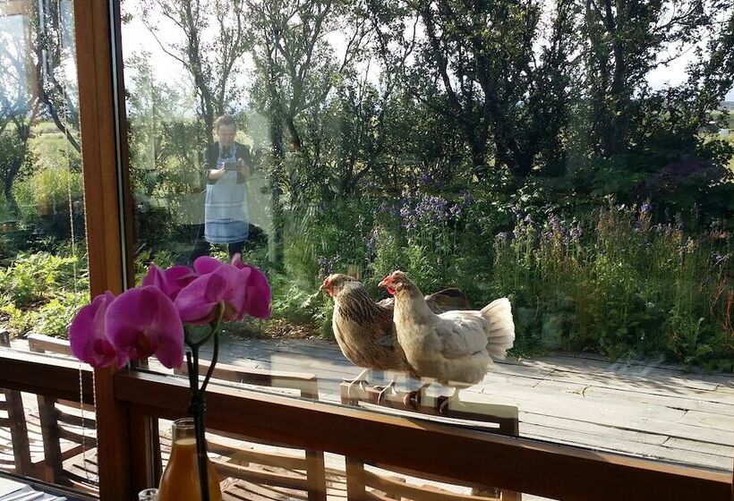 پانسیون Eyvindarholt Guesthouse