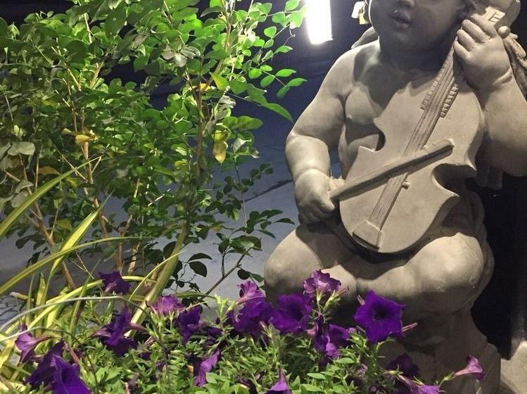 بنسيون Flamingo Villa