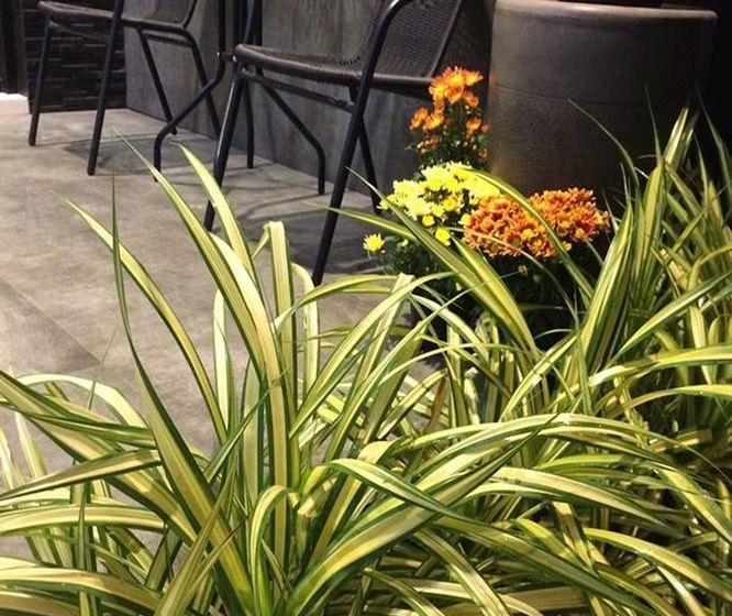 بنسيون Flamingo Villa