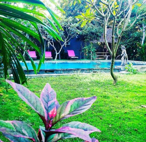 פנסיון Mango Moon