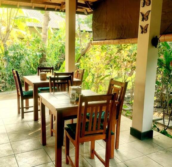 פנסיון Mango Moon