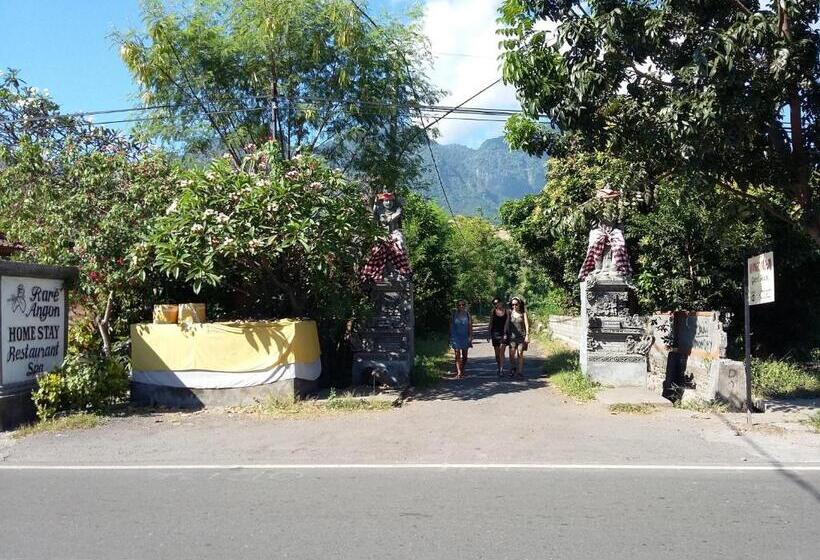 פנסיון Mango Moon