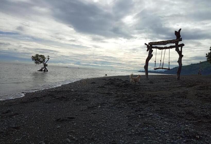 פנסיון Mango Moon