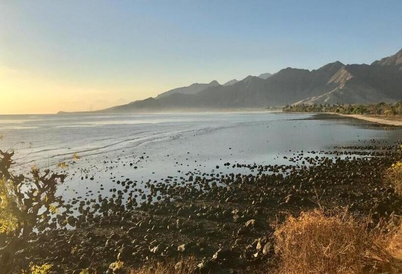 פנסיון Mango Moon