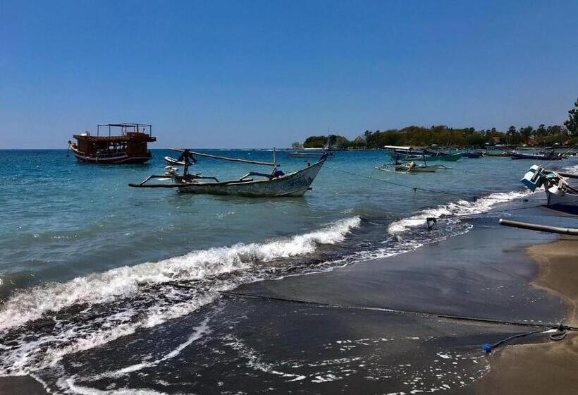 פנסיון Mango Moon