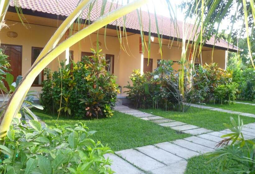 פנסיון Mango Moon