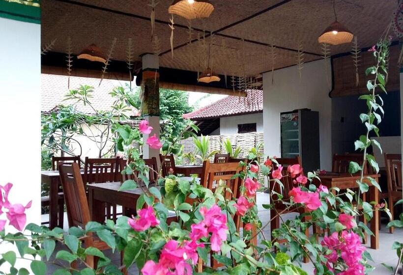 פנסיון Mango Moon