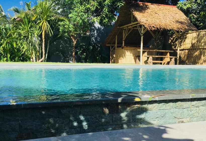 פנסיון Mango Moon