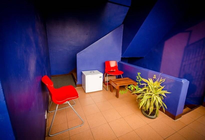 膳宿费 Moonlight Champa