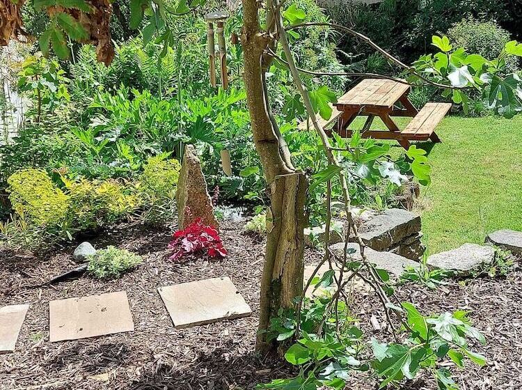 بنسيون Owl House