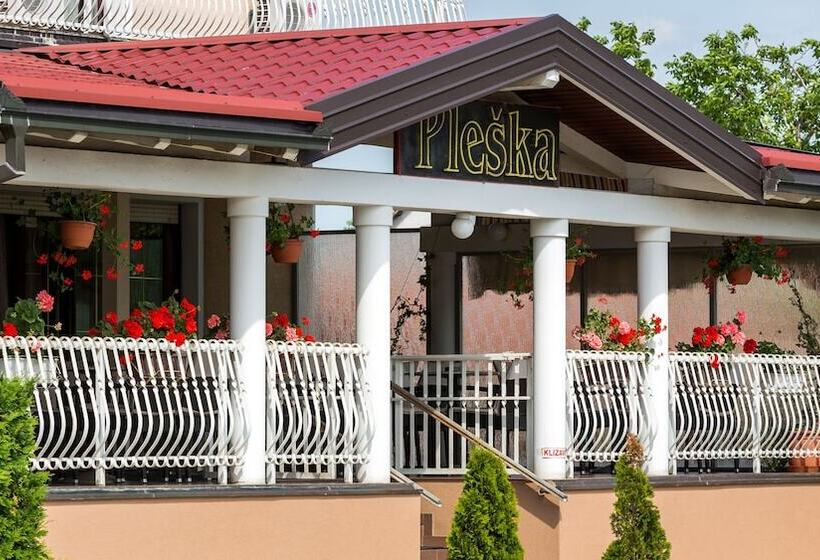 بنسيون Rooms Pleška Zagreb Airport