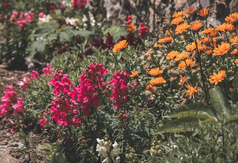 Sfendamos Wood Village