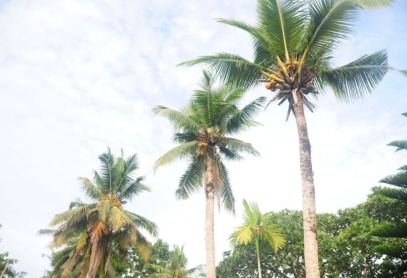 Shell Villa Apartel Resort