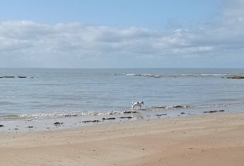 مبيت وإفطار A L'abri Des Vents