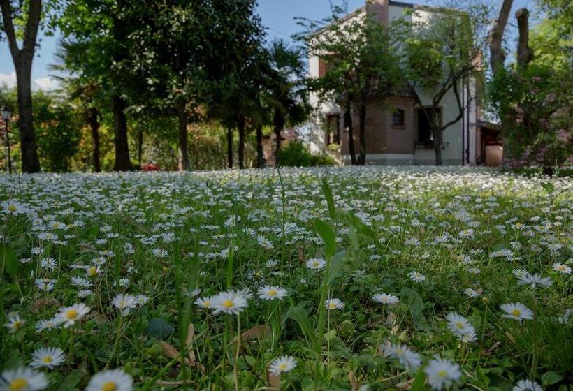 צימר Ca' Delle Palme