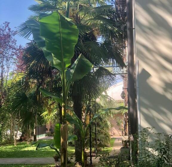 צימר Ca' Delle Palme