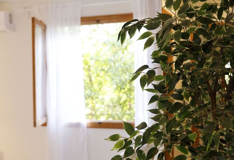 Casa Capitán, Piscina Privada, Wifi, Cerca De La Playa