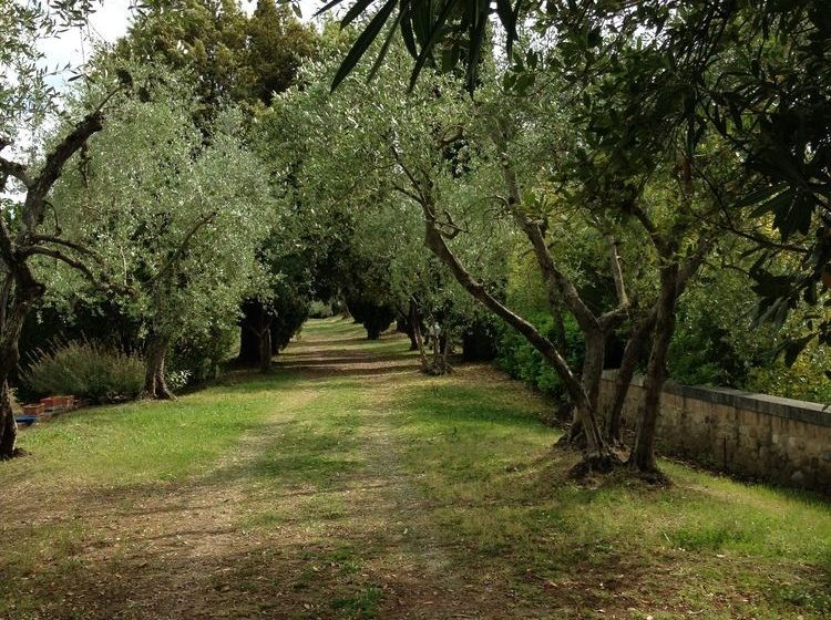 Casa Vacanze Fontebenedetta