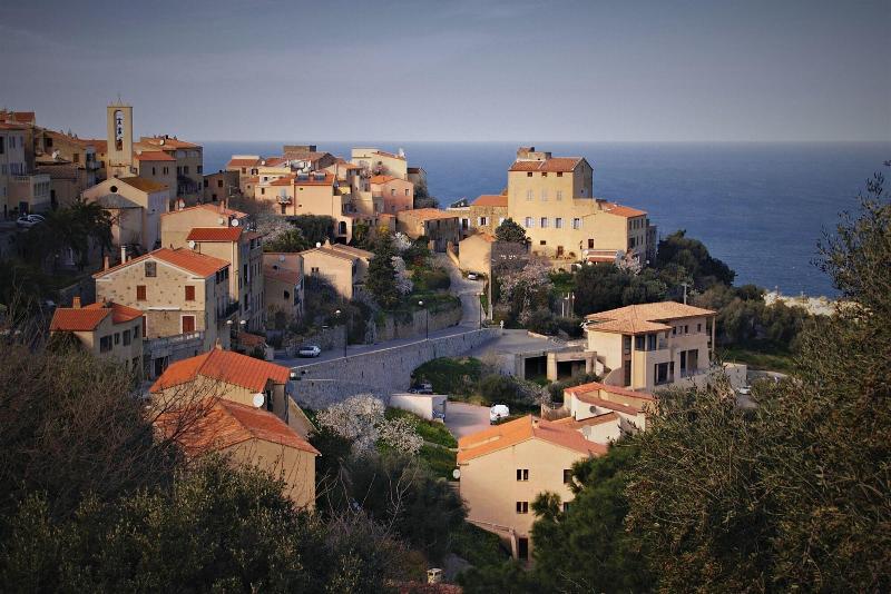 ホテル A Pasturella