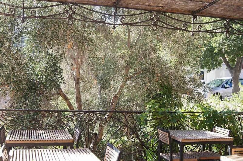 ホテル A Pasturella