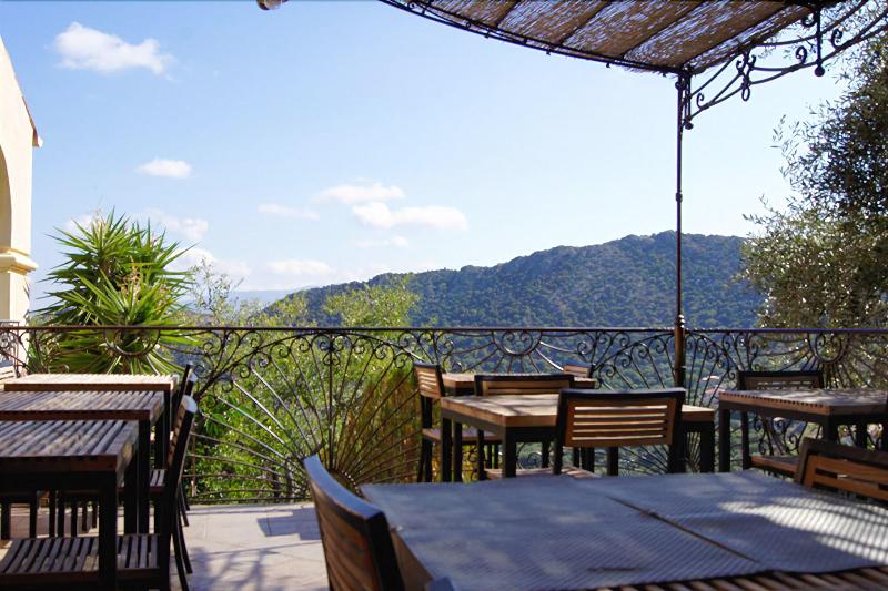 ホテル A Pasturella