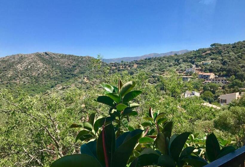 ホテル A Pasturella