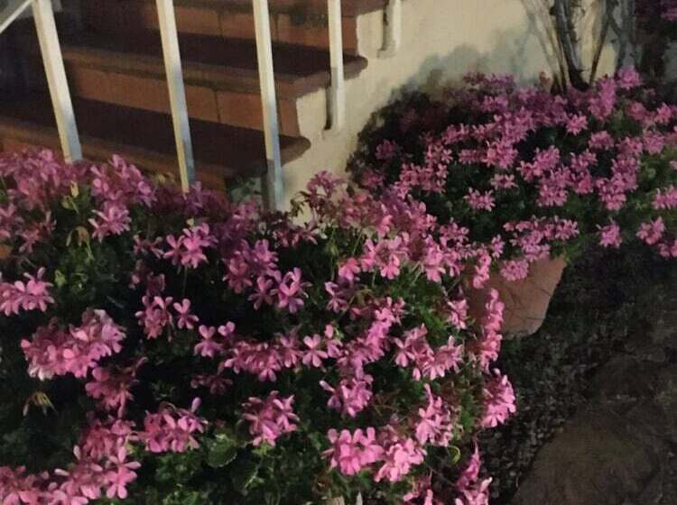 فندق Agriturismo Podere Bucine Basso