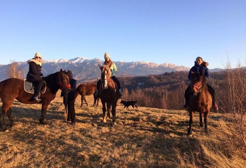 ホテル Akasha Wellness Retreat Adults Only