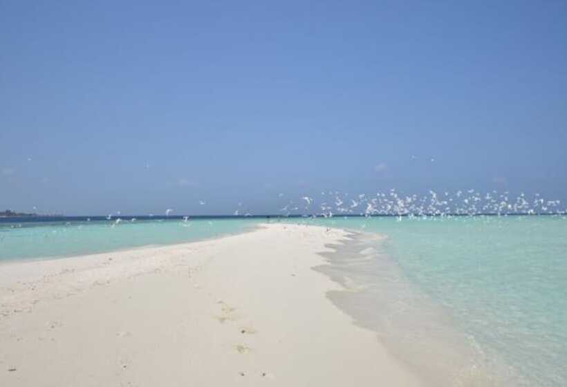 هتل Beach Residence