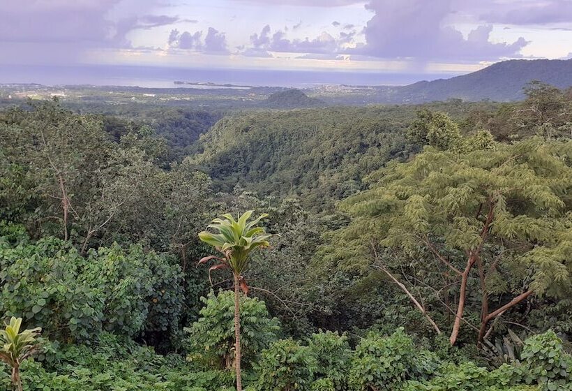 Hotel Dave Parker Eco Lodge