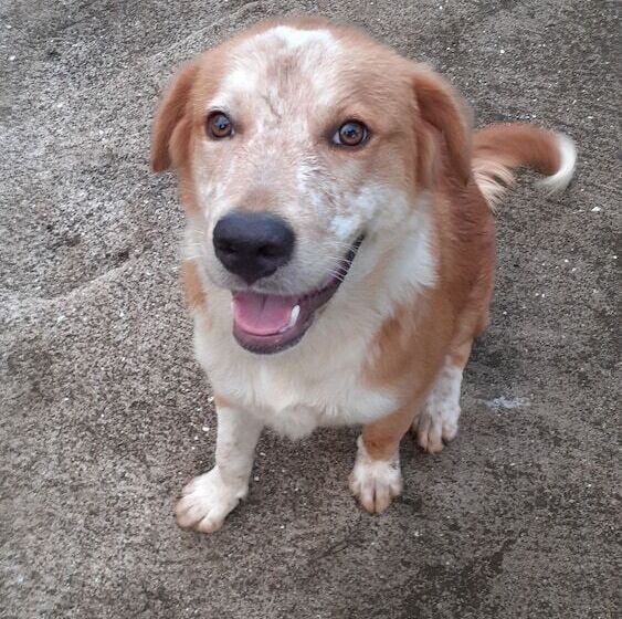 هتل Dave Parker Eco Lodge