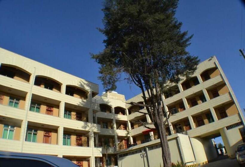 فندق Fasil International