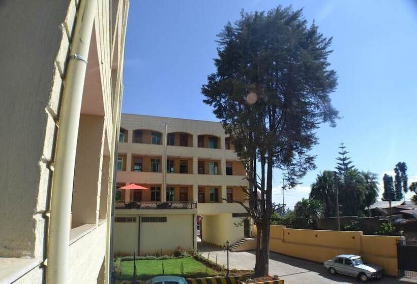 فندق Fasil International