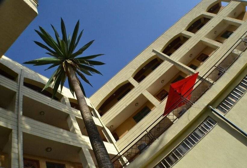 فندق Fasil International