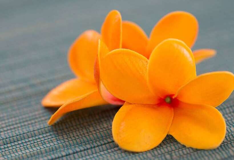 هتل Garden Palace Downtown Koror