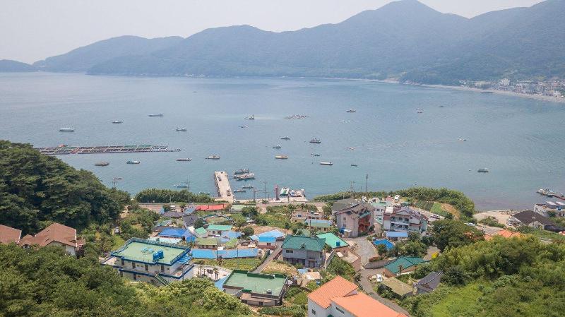 Отель Melodia Pension