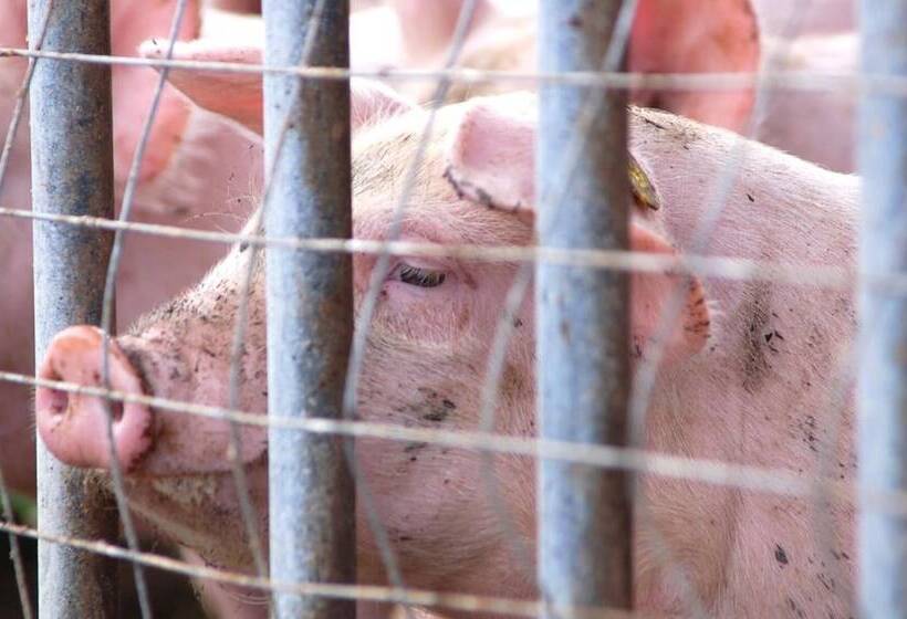 酒店 Il Giogo Agriturismo