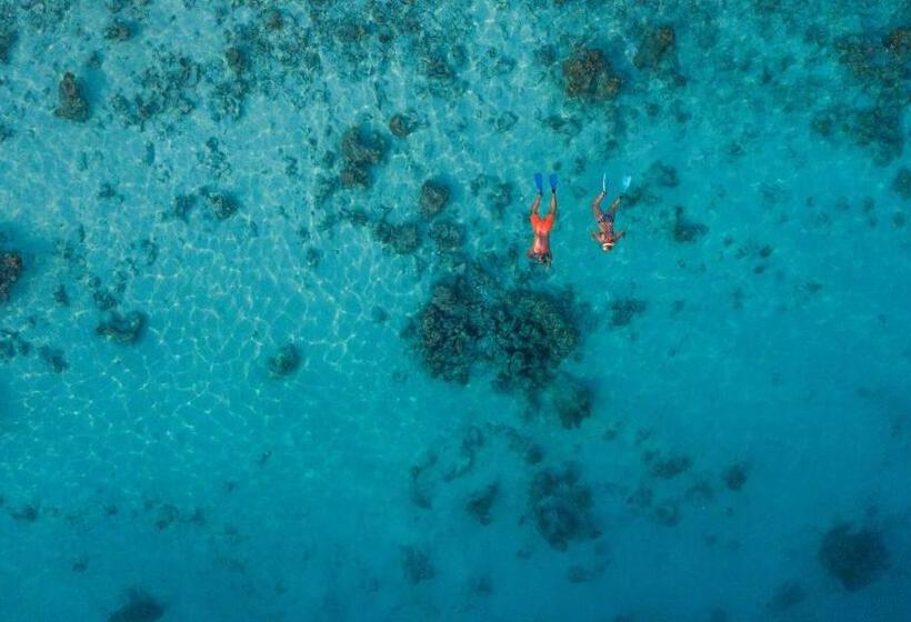 هتل Island Home Inn