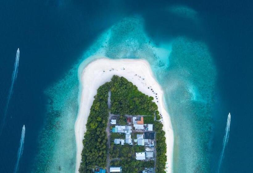 هتل Island Home Inn