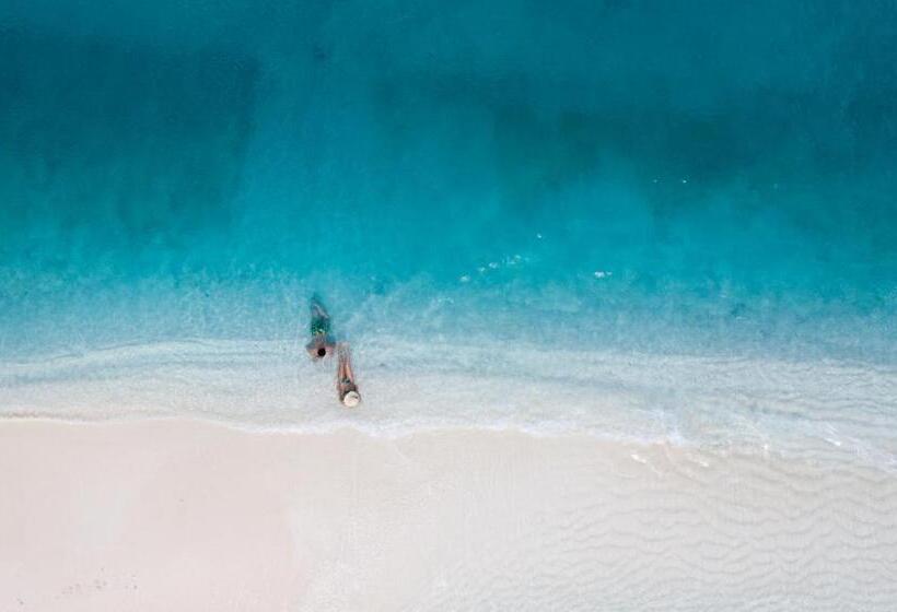 هتل Island Home Inn