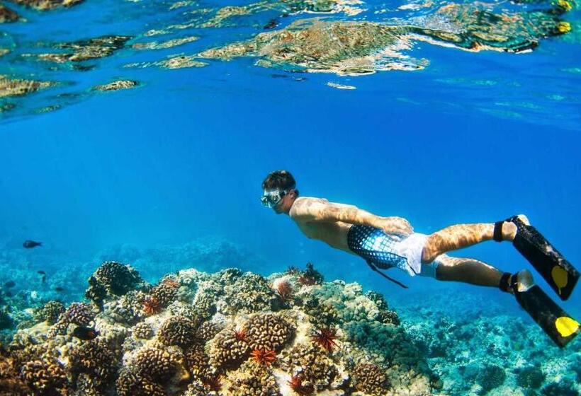 هتل Island Home Inn