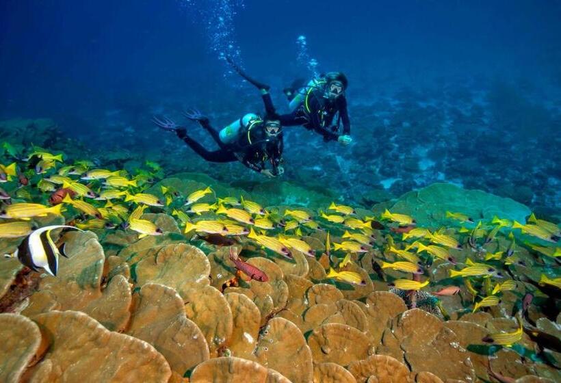 هتل Island Home Inn